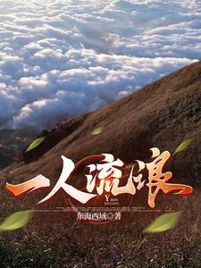 一人流浪在远方这首歌的含义 一人流浪在远方这首歌的含义
