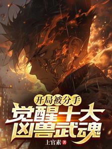 疯了吧你有十个sss级武魂TXT 疯了吧你有十个sss级武魂TXT