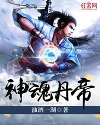 神魂丹帝大结局