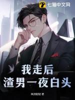 渣男一夜白头风羽轻轻中文纵
