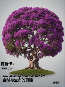 德鲁伊介绍 德鲁伊介绍