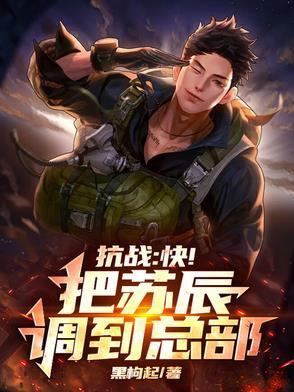 穿越抗战主角苏阳 穿越抗战主角苏阳