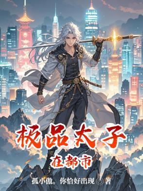 极品都市太子都市 极品都市太子都市