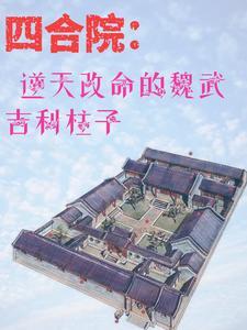 四合院开局娶了娄小娥 四合院开局娶了娄小娥