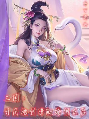 三国之何进的弟弟 三国之何进的弟弟