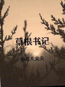 草根书记李天义 草根书记李天义