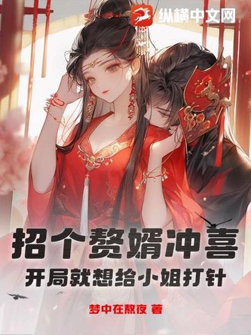 招赘婿的城市 招赘婿的城市