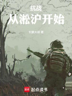 抗战之淞沪会战系统 抗战之淞沪会战系统