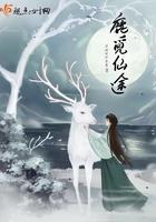 觅仙路讲的什么 觅仙路讲的什么
