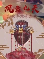 凤舞九天系列