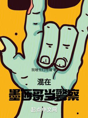混在墨西哥当警察的人 混在墨西哥当警察的人