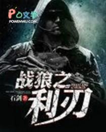 战狼系列 战狼系列
