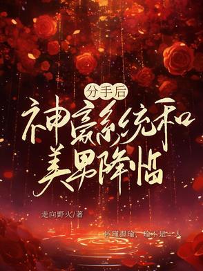 我获得了系统 我获得了系统