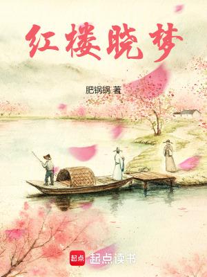 红楼梦小戏骨全集 红楼梦小戏骨全集