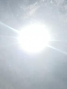 谢家子弟是什么意思 谢家子弟是什么意思