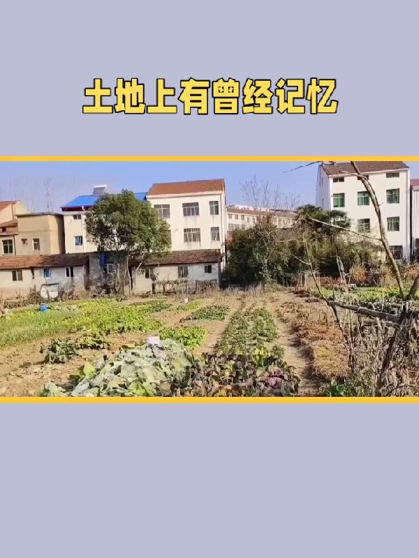 人间灶美食全文免费阅读 人间灶美食全文免费阅读