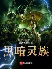 星渊之境百科 星渊之境百科