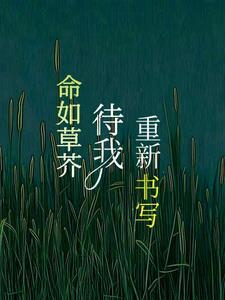 我开的真是孤儿院不是杀手堂免费 我开的真是孤儿院不是杀手堂免费