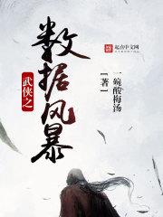 武侠之数据风暴 武侠之数据风暴