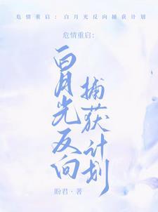 揉碎月光免费阅读番外
