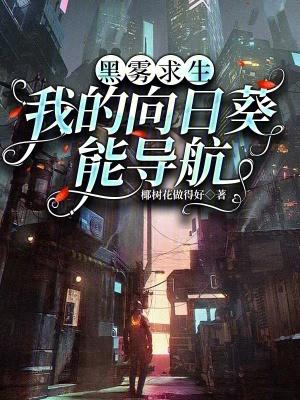 夫人她改嫁了 夫人她改嫁了
