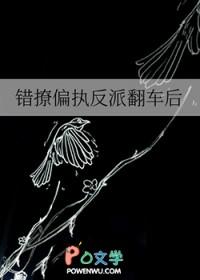 江湖男儿阳子下全文阅读 江湖男儿阳子下全文阅读